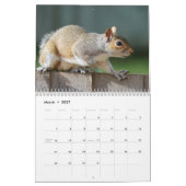 Eekhoorn 2027 kalender (Mar 2027)