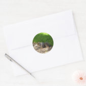 Eekhoorn #3 Stickers (Envelop)