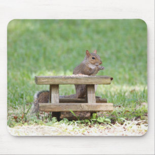 Eekhoorn aan picknicktafel muismat