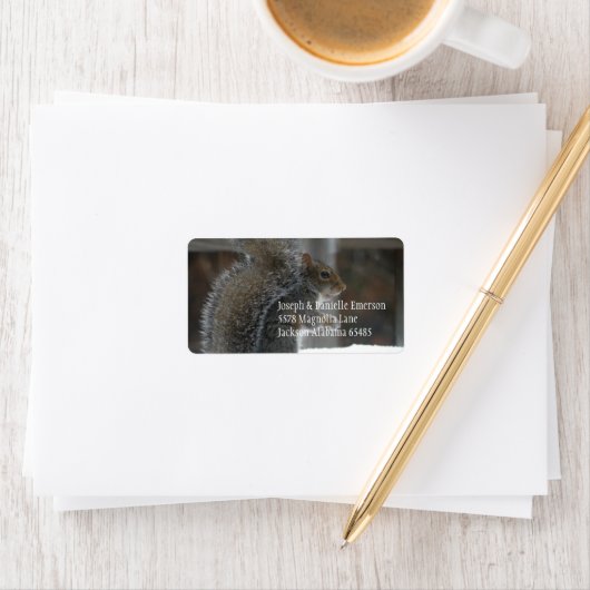 Eekhoorn Adres Sticker (Insitu)