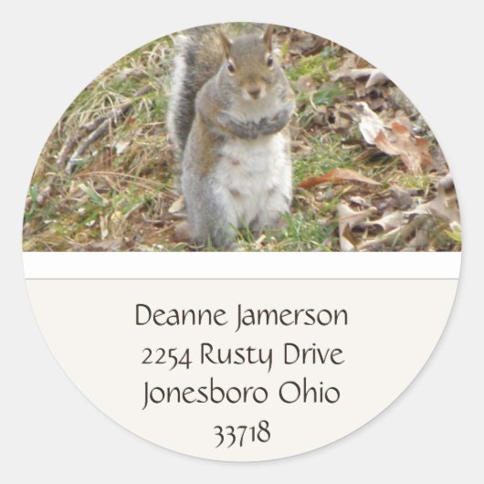 Eekhoorn Adres Stickers (Voorkant)
