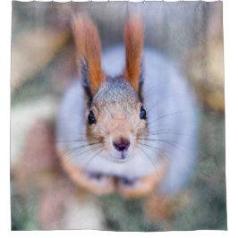 Eekhoorn - alles om te buigen douchegordijn