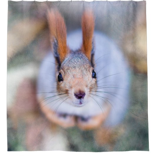 Eekhoorn - alles om te buigen douchegordijn (Voorkant)