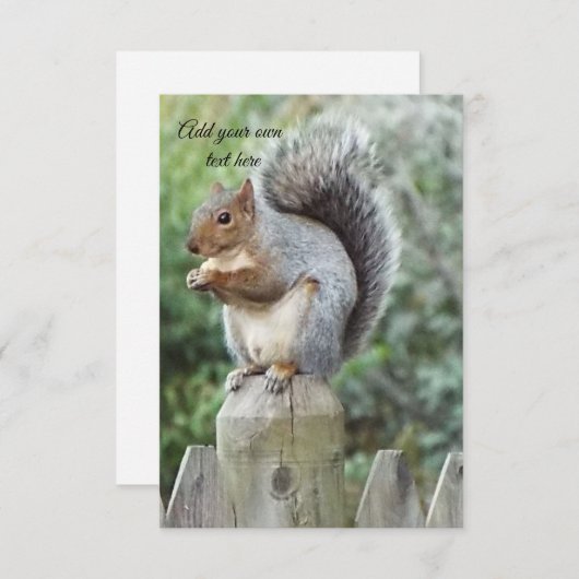 eekhoorn bedankkaart