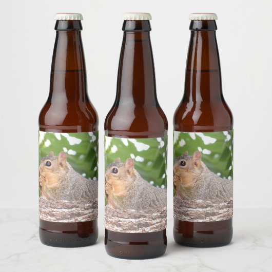 eekhoorn bier etiket (Flessen)