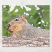 eekhoorn bier etiket (Enkel label)