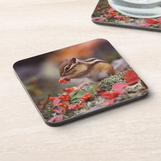 eekhoorn bier onderzetter (Linkerzijde)