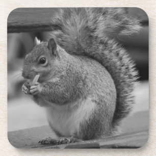 eekhoorn bier onderzetter