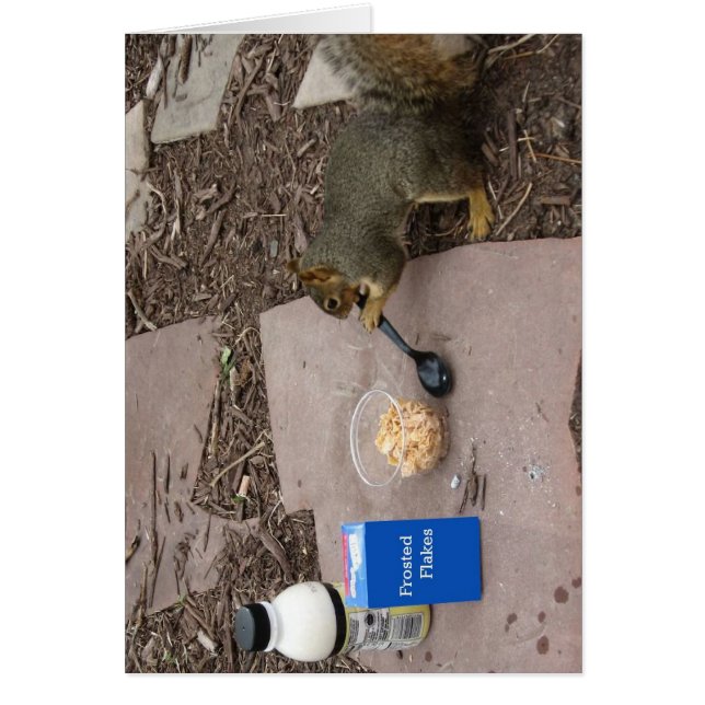 Eekhoorn bij Breakfast (Voorkant)