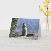 Eekhoorn bij de Grand Canyon Kaart (Gele Bloem)