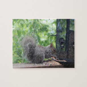 Eekhoorn bij het voederen van vogels legpuzzel