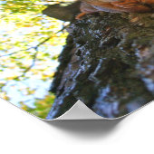 Eekhoorn bij Rest Poster (Hoek)