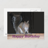 Eekhoorn Birthday Greetings Briefkaart (Voorkant / Achterkant)