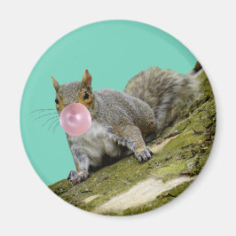 Eekhoorn blazen een Bubblegum Bubble Animal Foto Magneet