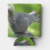 eekhoorn blikjeskoeler (Voorkant)