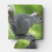 eekhoorn blikjeskoeler (Achterkant)