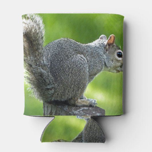 eekhoorn blikjeskoeler (Achterkant)