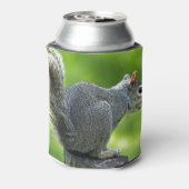 eekhoorn blikjeskoeler (Blikje Achterkant)