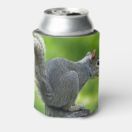 eekhoorn blikjeskoeler (Blikje Achterkant)