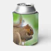 eekhoorn blikjeskoeler (Blikje Achterkant)