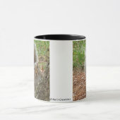 Eekhoorn-Boo-eekhoorn Mok (Midden)