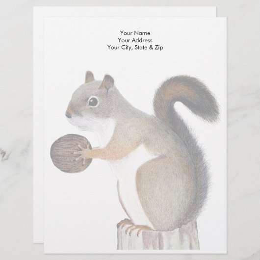 eekhoorn briefhoofd (Voorkant / Achterkant)