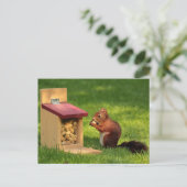 eekhoorn briefkaart (Staand voorkant)