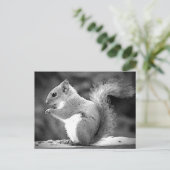 eekhoorn briefkaart (Staand voorkant)