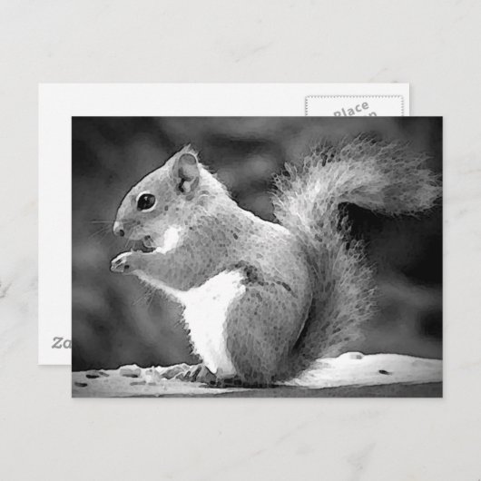 eekhoorn briefkaart (Voorkant / Achterkant)