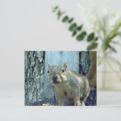 eekhoorn briefkaart (Staand voorkant)