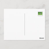 eekhoorn briefkaart (Achterkant)