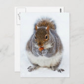 eekhoorn briefkaart (Voorkant / Achterkant)