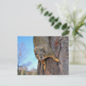 Eekhoorn! Briefkaart (Staand voorkant)