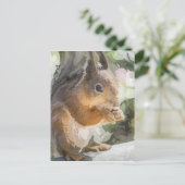 eekhoorn briefkaart (Staand voorkant)