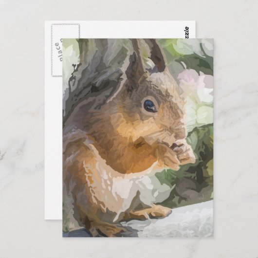 eekhoorn briefkaart (Voorkant / Achterkant)