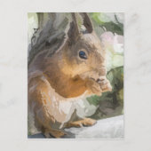 eekhoorn briefkaart (Voorkant)