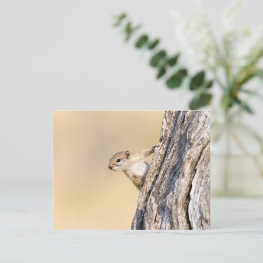 Eekhoorn Briefkaart (Staand voorkant)