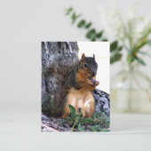 eekhoorn briefkaart (Staand voorkant)