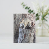 eekhoorn briefkaart (Staand voorkant)