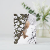 Eekhoorn Briefkaart (Staand voorkant)