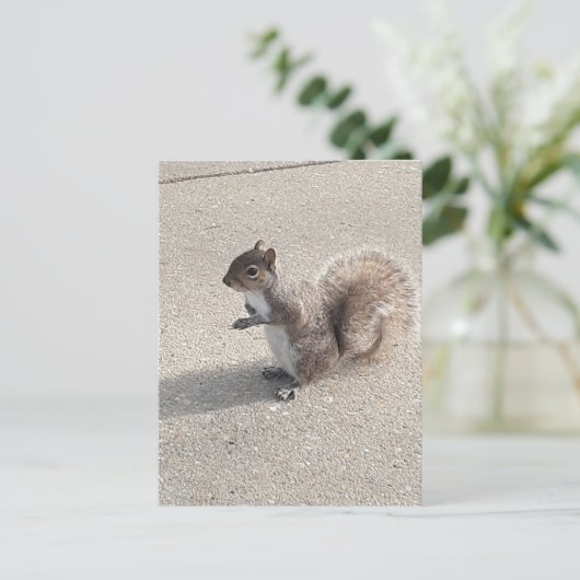 eekhoorn briefkaart (Staand voorkant)