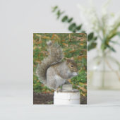 eekhoorn briefkaart (Staand voorkant)