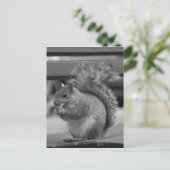 eekhoorn briefkaart (Staand voorkant)