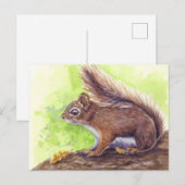eekhoorn briefkaart (Voorkant / Achterkant)