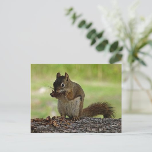 Eekhoorn Briefkaart (Staand voorkant)