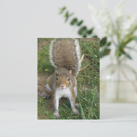 eekhoorn briefkaart (Staand voorkant)