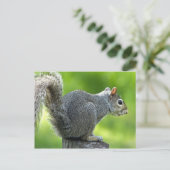 eekhoorn briefkaart (Staand voorkant)