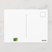 eekhoorn briefkaart (Achterkant)