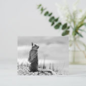 eekhoorn briefkaart (Staand voorkant)