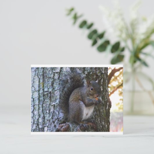 Eekhoorn Briefkaart (Staand voorkant)